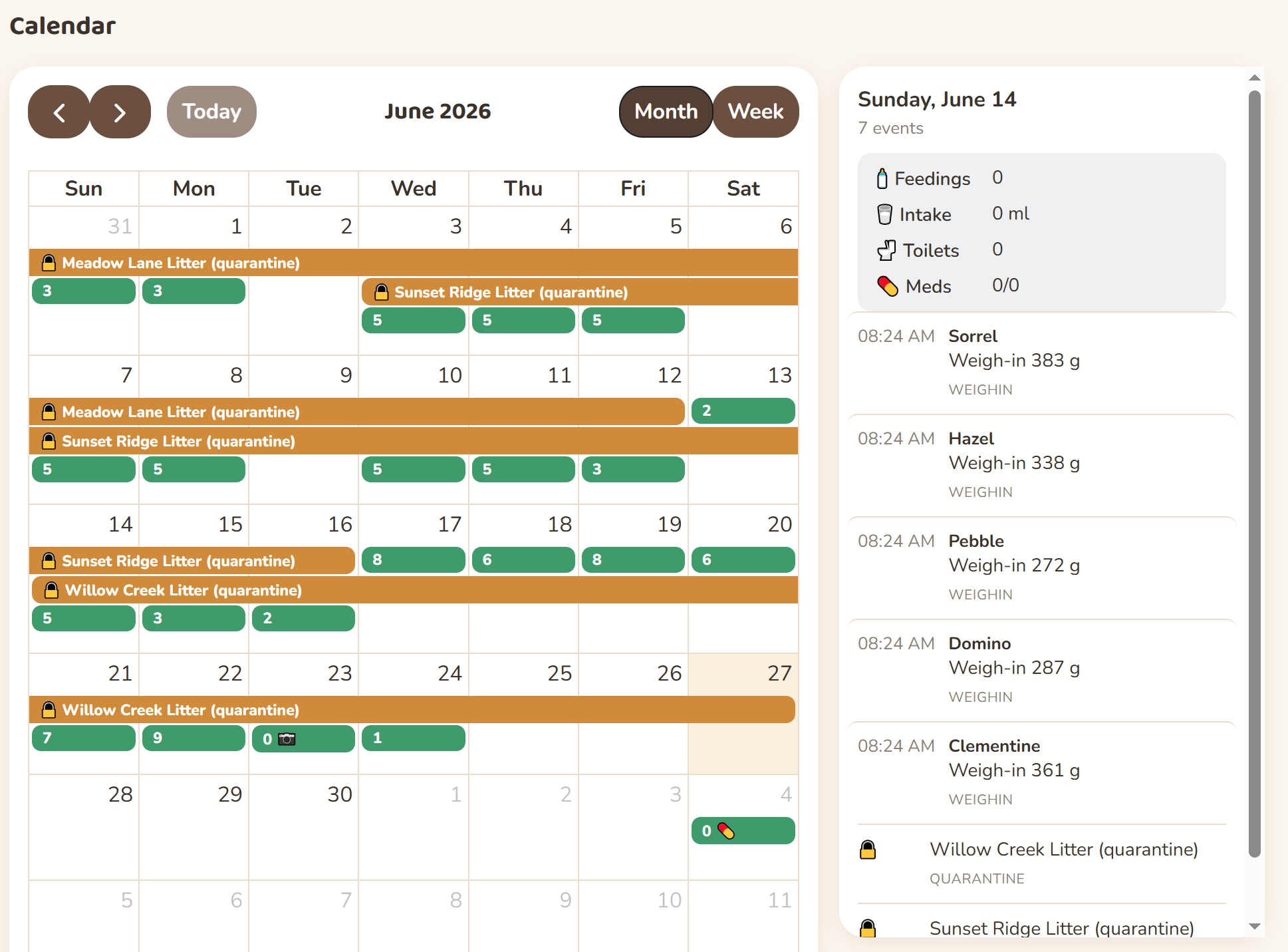 Calendar view of a kitten's checkups
