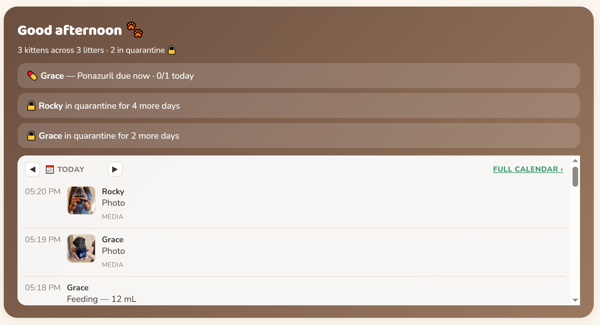 The daily dashboard with due tasks and today's timeline