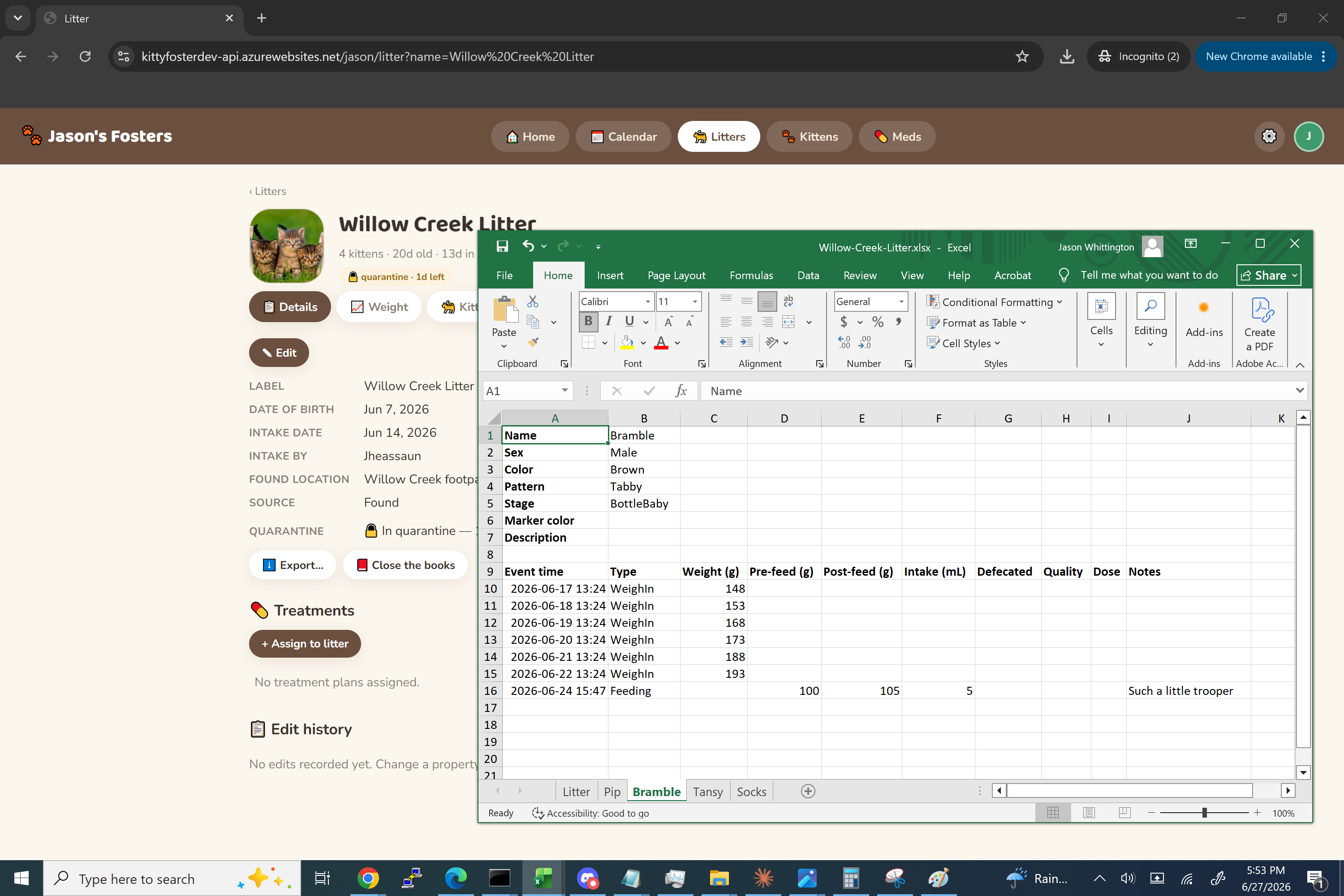 Exported records in Excel