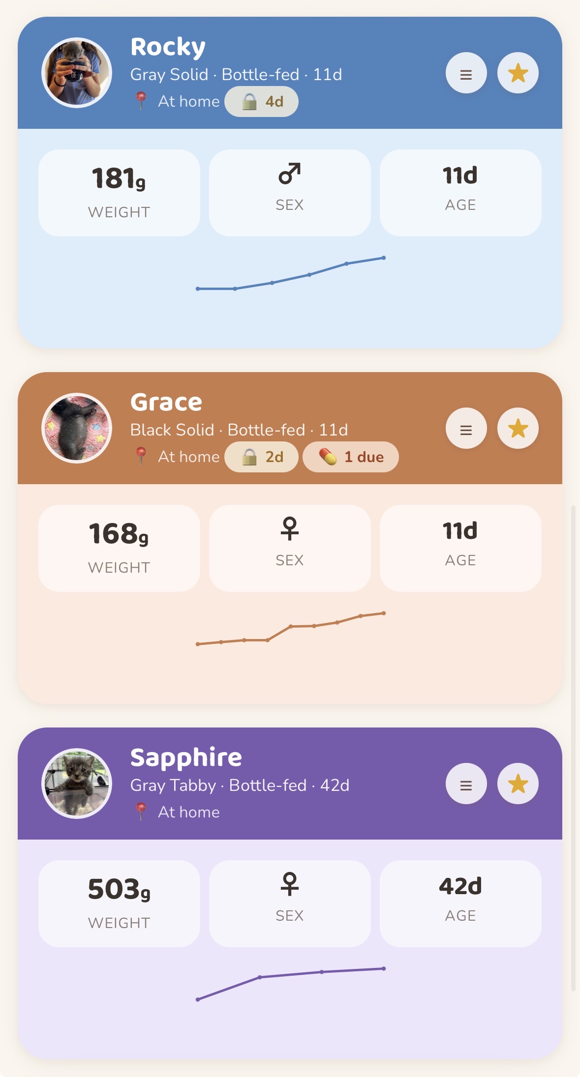 Kitten list on a phone